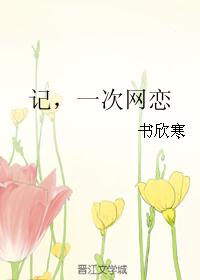 记，一次网恋